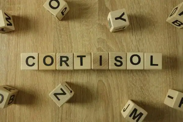 The Hidden Connection: How Stress Shapes Your Fitness and Body Composition 2 Image saying "Cortisol" and how stress Hemel Hempstead impacts your wellbeing and bodies shape